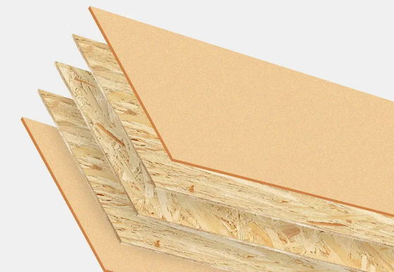 Feine OSB-Platte LSB FSC E0 E1 2440x1220